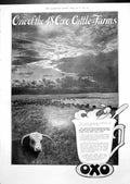 Old Oxo Advert Cattle Farm Zebra Effect Dress La-Rola Beauty Aid 1913 20th