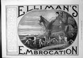Antique Old Print Elliman'S Embrocation Ad Kaiser Agricultural Council 1913