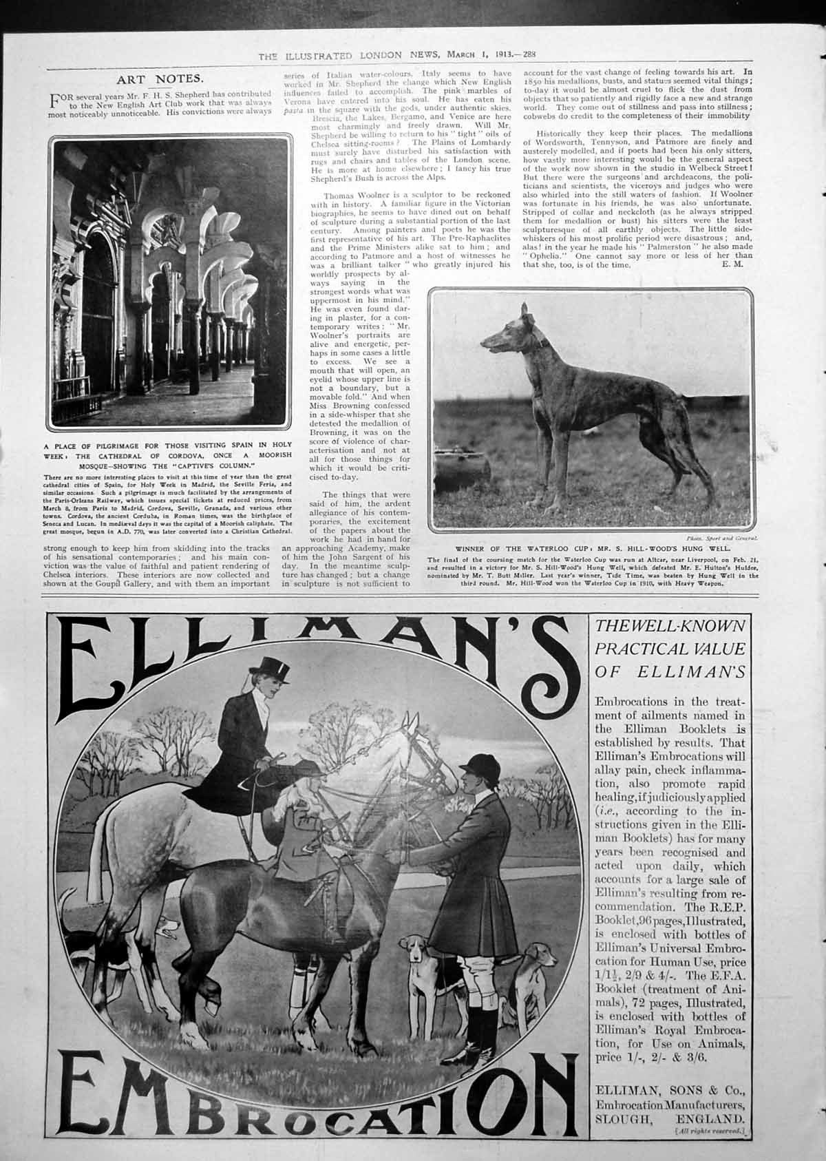 Antique Old Print Cathedral Cordova Spain Waterloo Cup Winner Adverts 1913