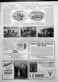 Antique Old Print Moose Hunting N Quebec Canoes Oxo Adverts Schnapps 1913 20th