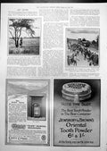 Old Shooting Zebra Thomas Dewar Safari Train Eno'S Sprind Advert 1913 20th