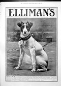 Old Print Elliman'S Advert Winston Churchill Inspects Boys Mercury 1913 20th