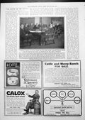 Old Print President Woodrow Wilson Cabinet Library Lounge Chair Ad 1913 20th