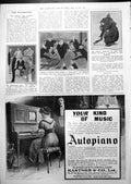 Antique Old Print Caricatures Max Beerbohm Asquith Dewar Advert Rob Roy 1913