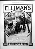 Old Print Elliman'S Advert Blockading Fleet Off Montenegro Scutari 1913 20th
