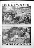 Old Elliman'S Embrocation Horses Advert Science Jottings Divining 1913 20th