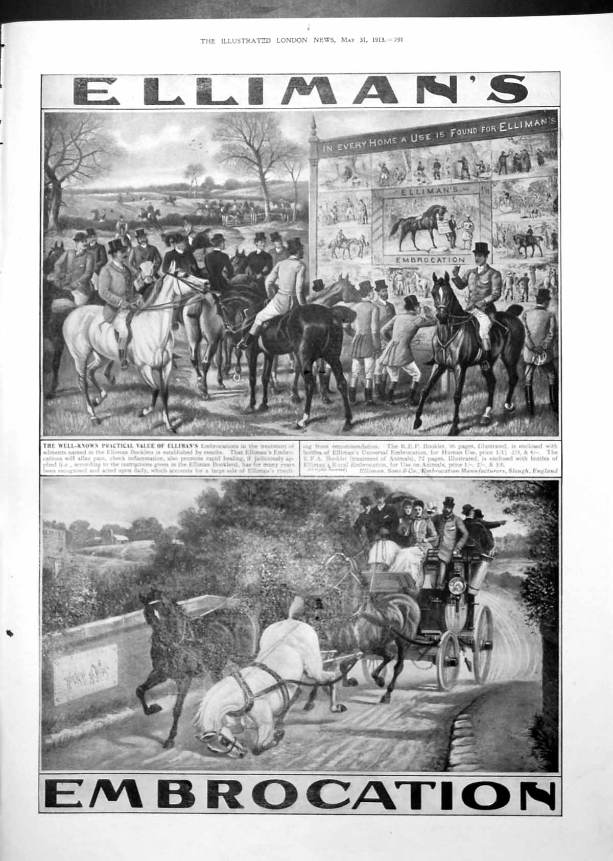 Old Elliman'S Embrocation Horses Advert Science Jottings Divining 1913 20th