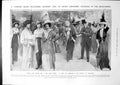 Old Print Plumage In Hats Ladies Young Duke Master Baby SHigh Price 1913 20th