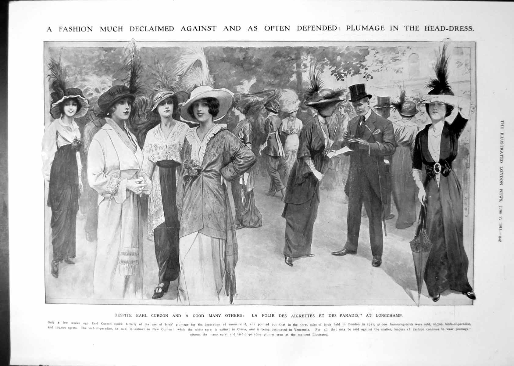 Old Print Plumage In Hats Ladies Young Duke Master Baby SHigh Price 1913 20th