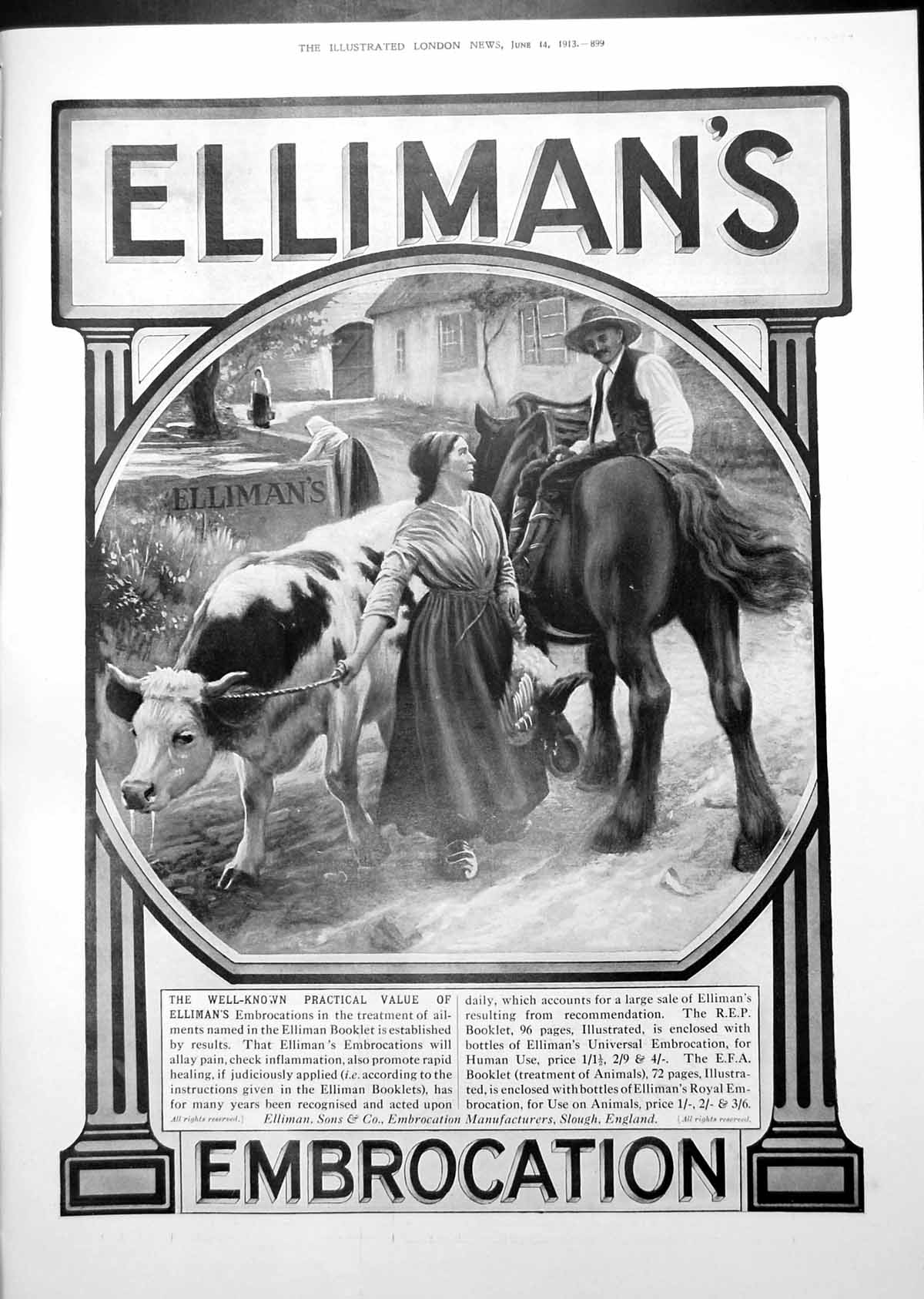 Antique Old Print Elliman'S Embrocation Horses Advert Fiords Mablethorpe 1913