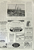 Old Vintage Print 1917 Menin Battle British Army War Napier Wrights Soap 20th