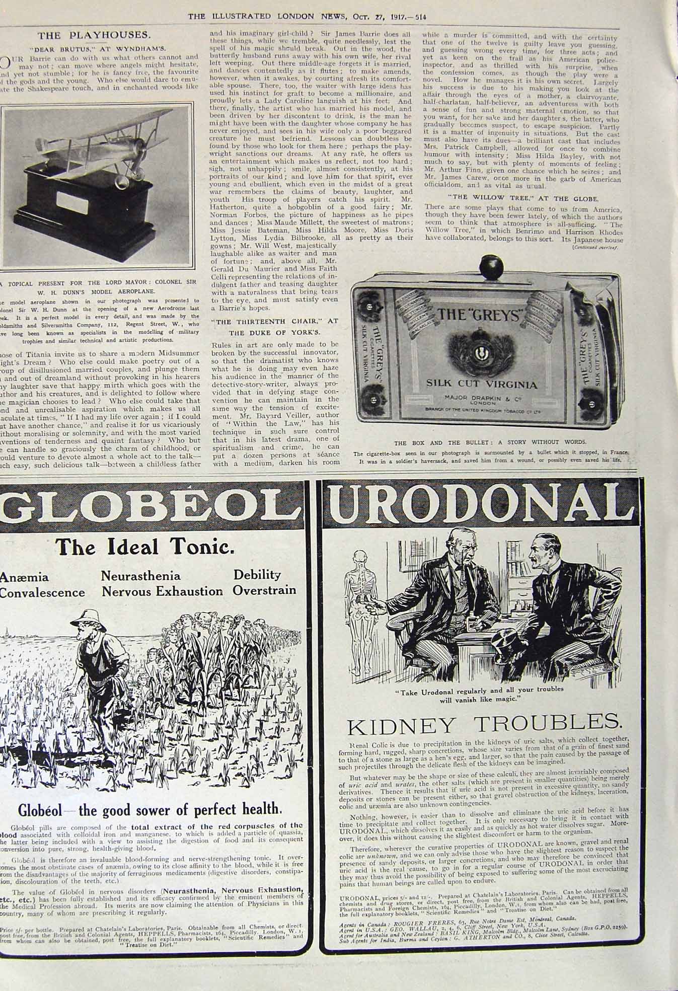 Old Vintage Print 1917 Colonel Dunn Model Aeroplane Virginia Cigarettes 20th