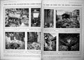 Old Damaged Damage Paris Big Bertha Demobilisation Crystal Palace 1919 20th