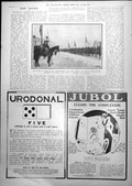 Old Prince Wales Saluting Point King Albert King Belgians Review 1919 20th
