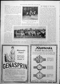 Old Print Presented France Emir Faisal Arab Horses Camels Trappings 1919 20th