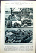 Old Ramshackle Housing Vienna Tug-Boats Caves Trees J Maclennan 1921 0 20th