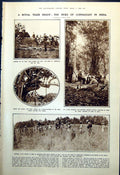 Old Royal Tiger Shoot Duke Connaught India Bunyoro King Africa 1921 20th