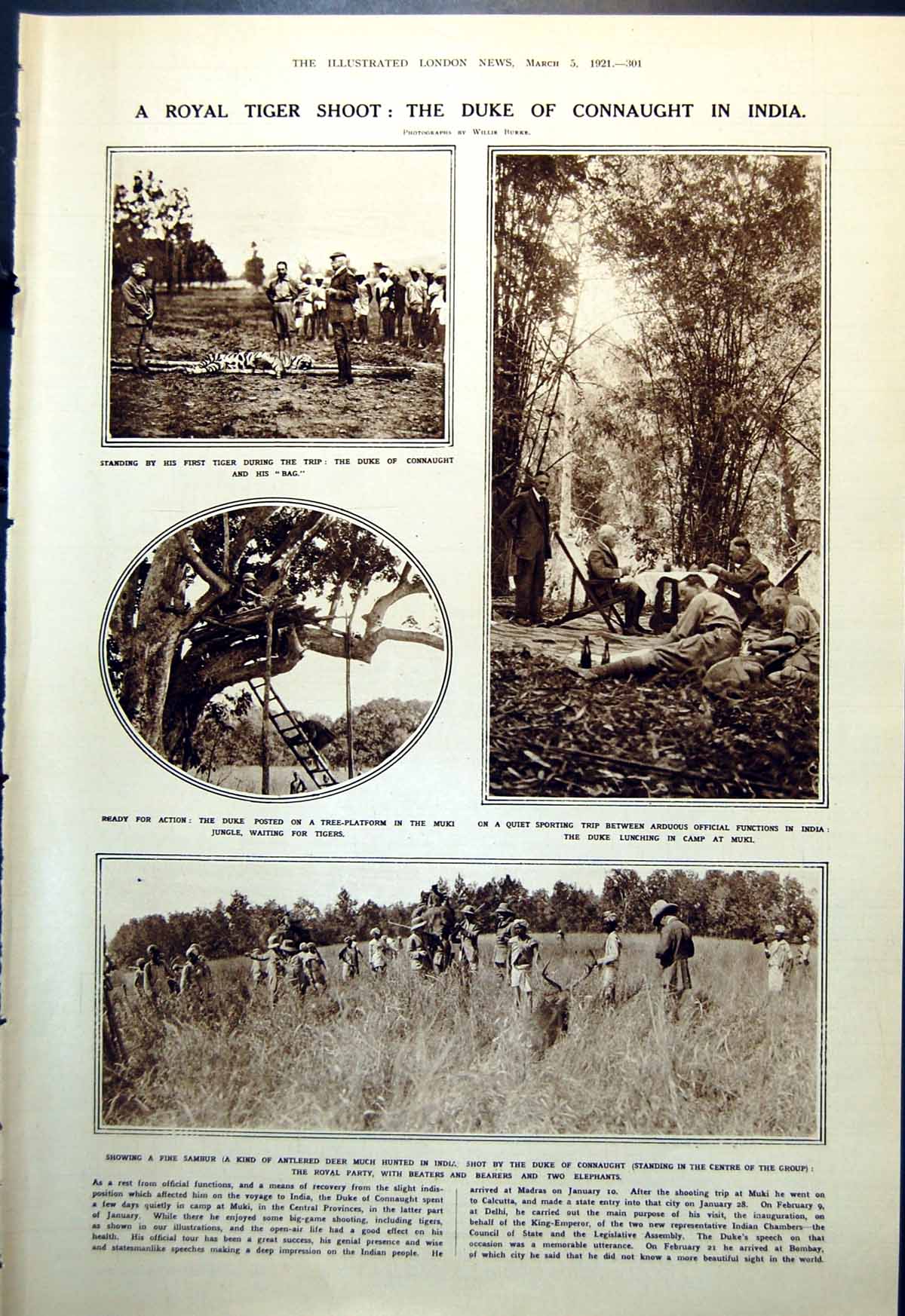 Old Royal Tiger Shoot Duke Connaught India Bunyoro King Africa 1921 20th