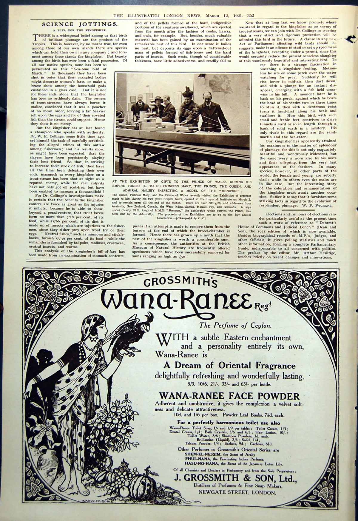 Antique Old Print Model Renown Prince Wales Princess Mary Queen Halsey 1921