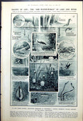 Old Lake River Life Gnat Minnow Battle-Ship As Aeroplane Target 1921 20th