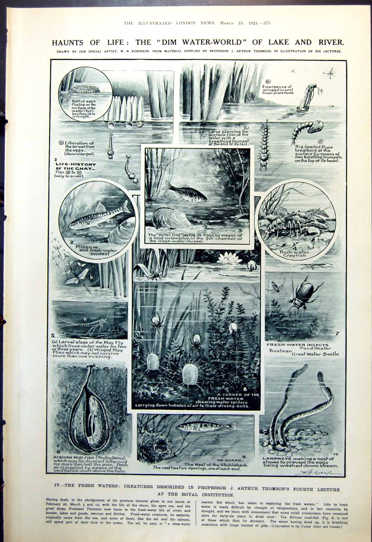 Old Lake River Life Gnat Minnow Battle-Ship As Aeroplane Target 1921 20th