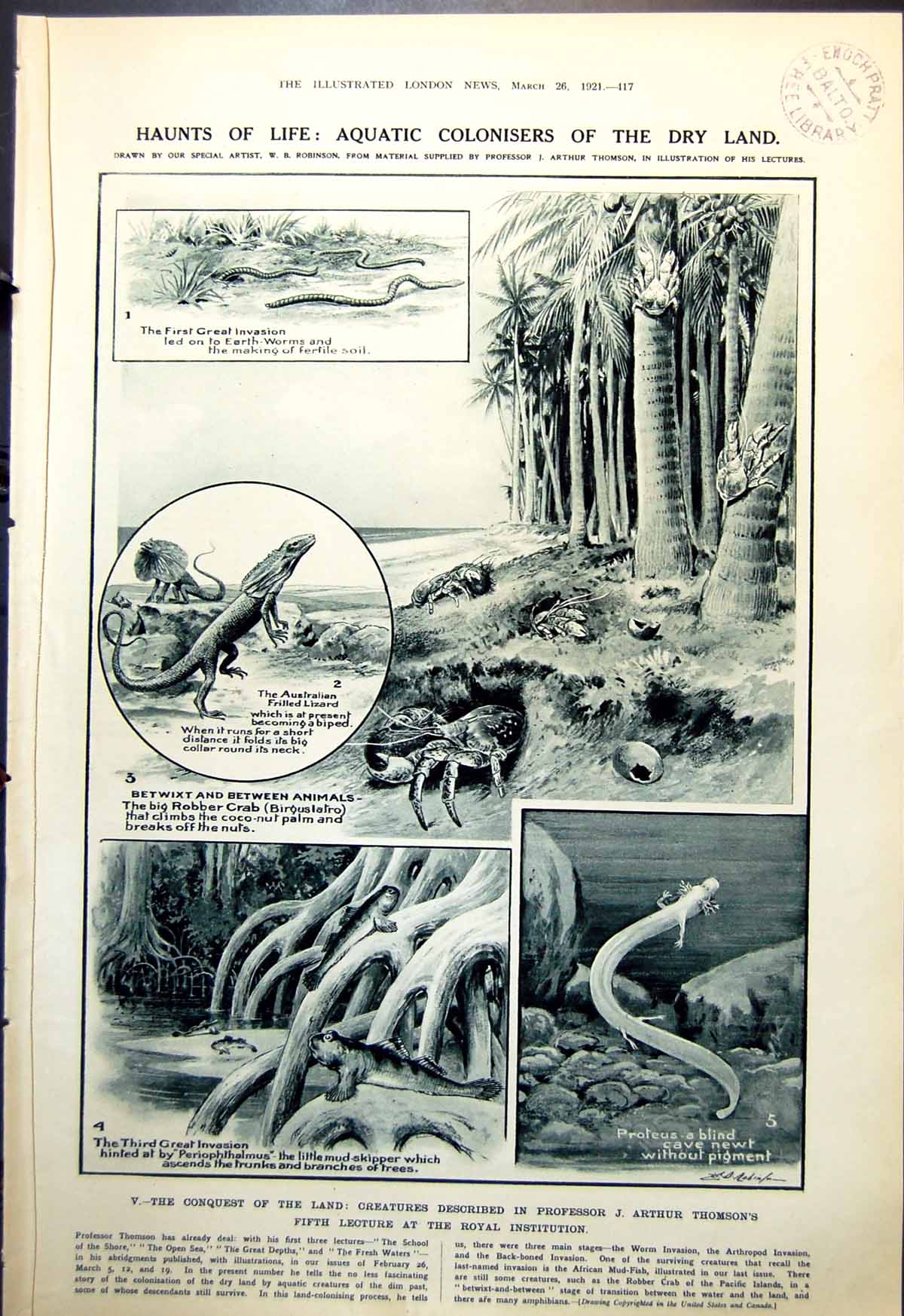 Antique Old Print Aquatic Colonisers Dry Land Ninth Earl Comedy Theatre 1921