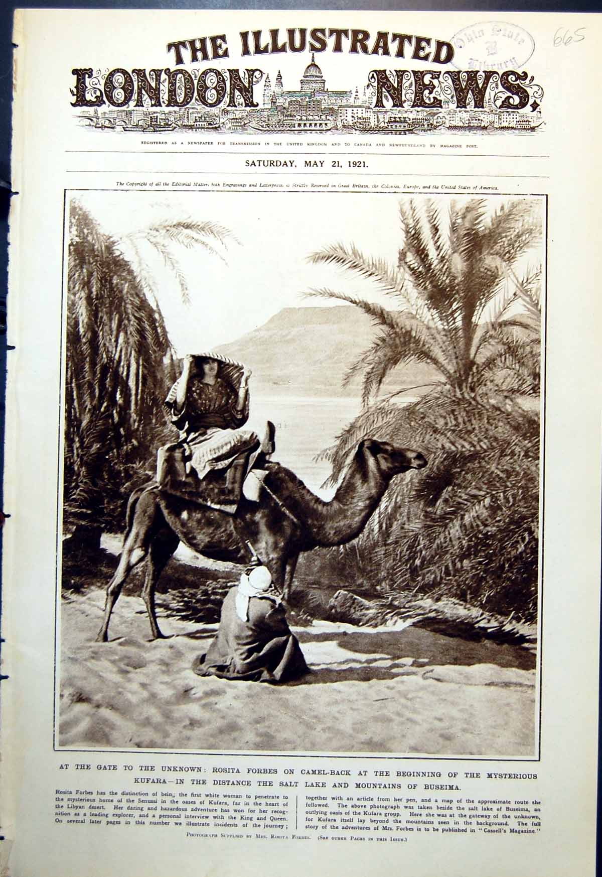 Old Rosita Forbes Camel Back Kufara Crown Prince Japan Guildhall 1921 20th