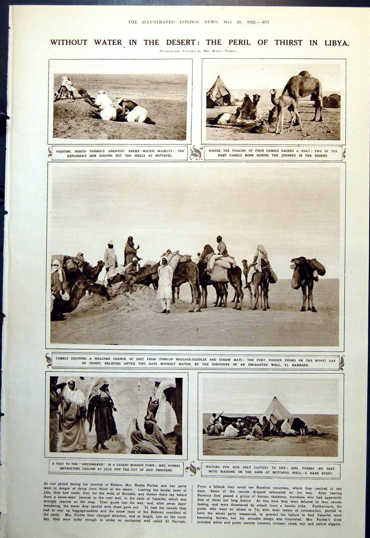 Antique Print Rosita Forbes Camels Unchartered Well Salt Lake Buseima 1921