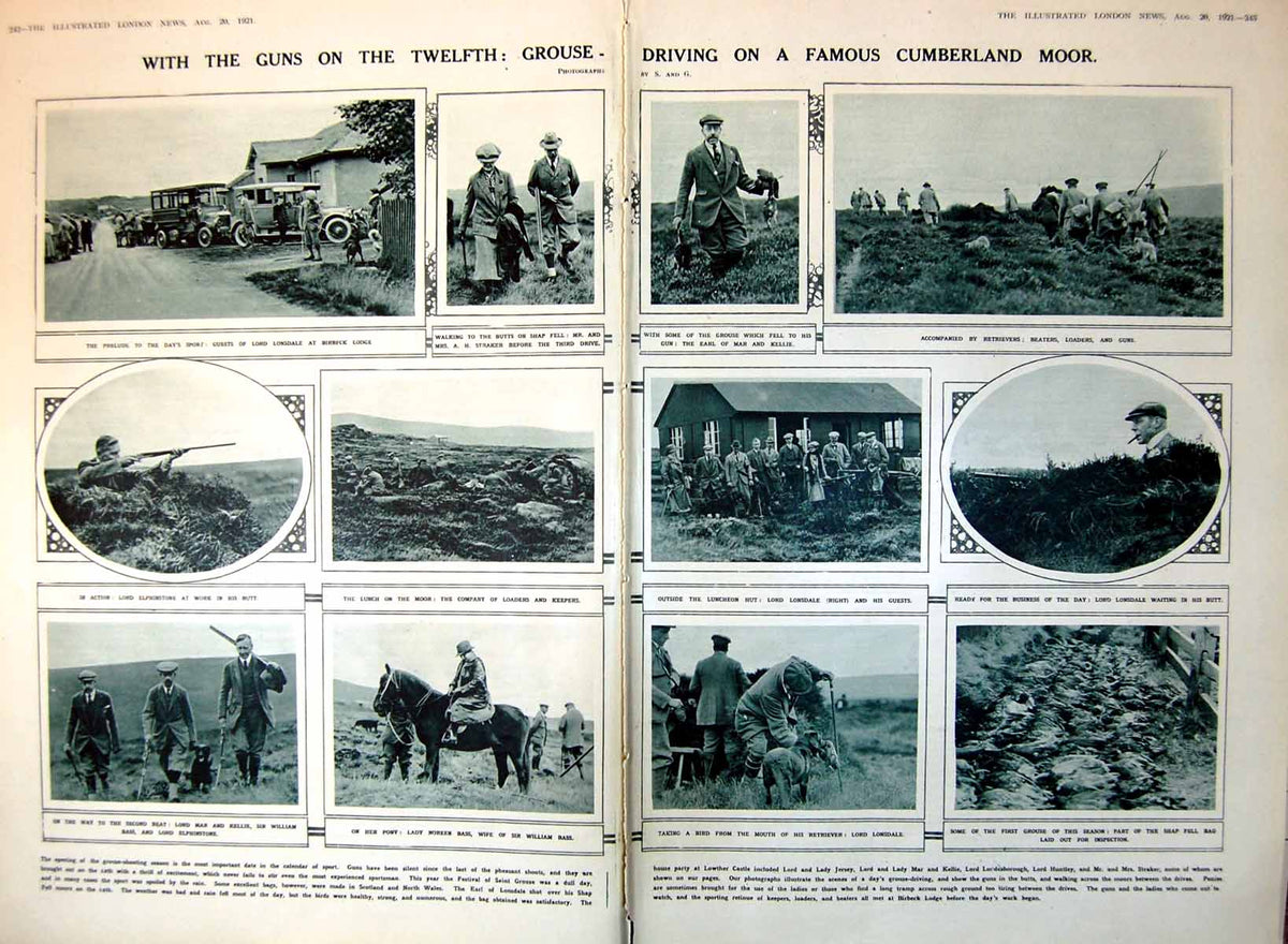Antique Old Print Damaged Twelfth Grouse Driving Famous Cumberland Moor 1921