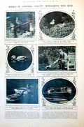 Antique Old Print Bird Sanctuary Fallodon Wild Ducks Lord Grey'S Quiet 1921