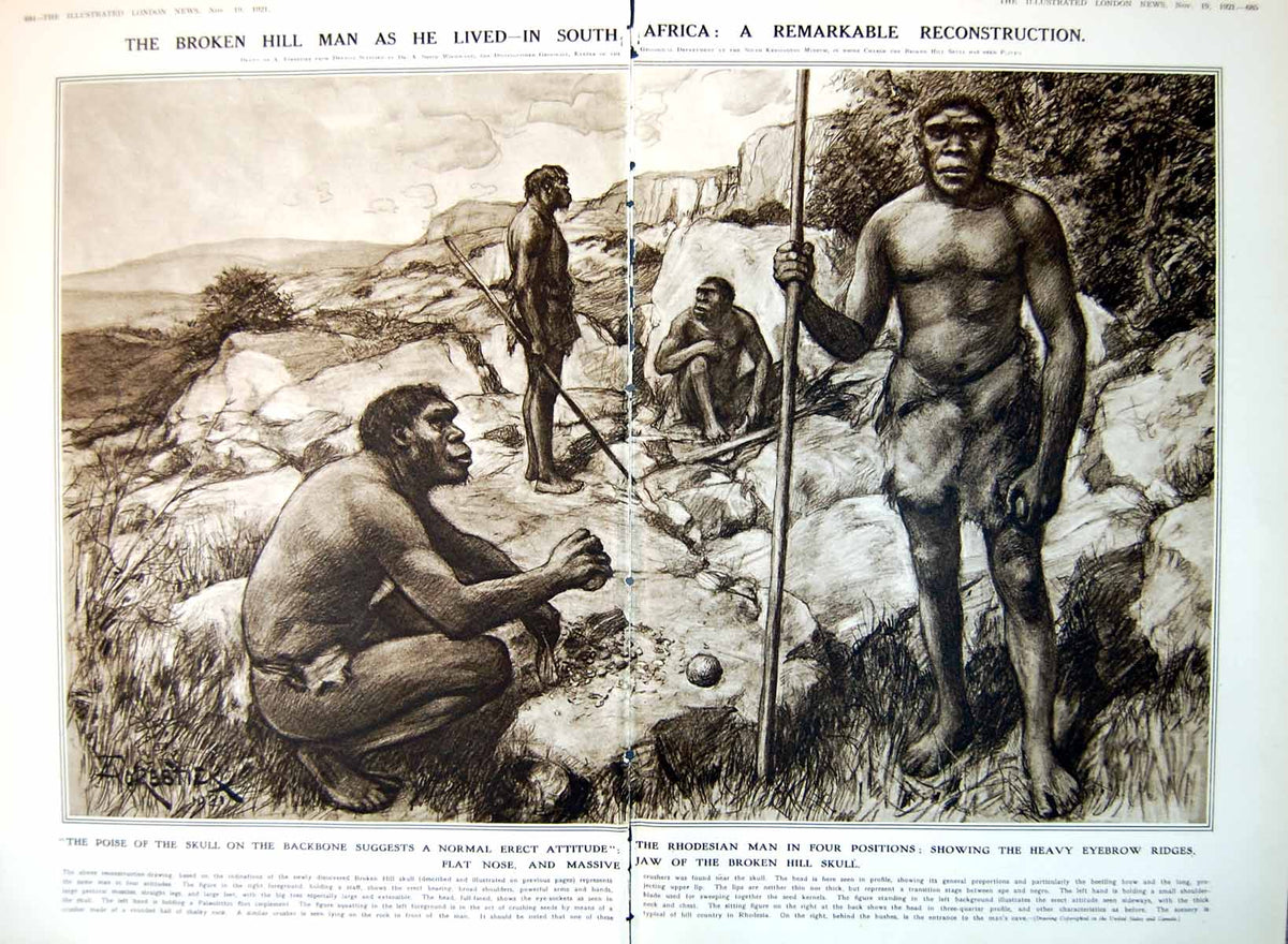 Antique Old Print Damaged Broken Hill Man As He Lived A Reconstruction 1921