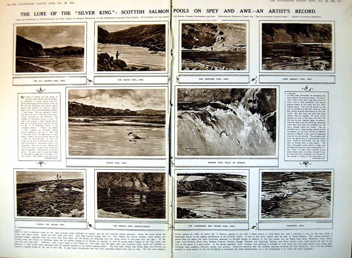 Antique Print Damaged Lure Silver King Salmon Spey Awe Artists Record 1921 20th