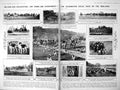 Antique Print Belvoir Fox-Hunting Horses Hounds Prospective Lady M.P.S 1922