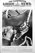 Antique Old Print Humming Bird In Teaspoon New Pope Blessing The People 1922