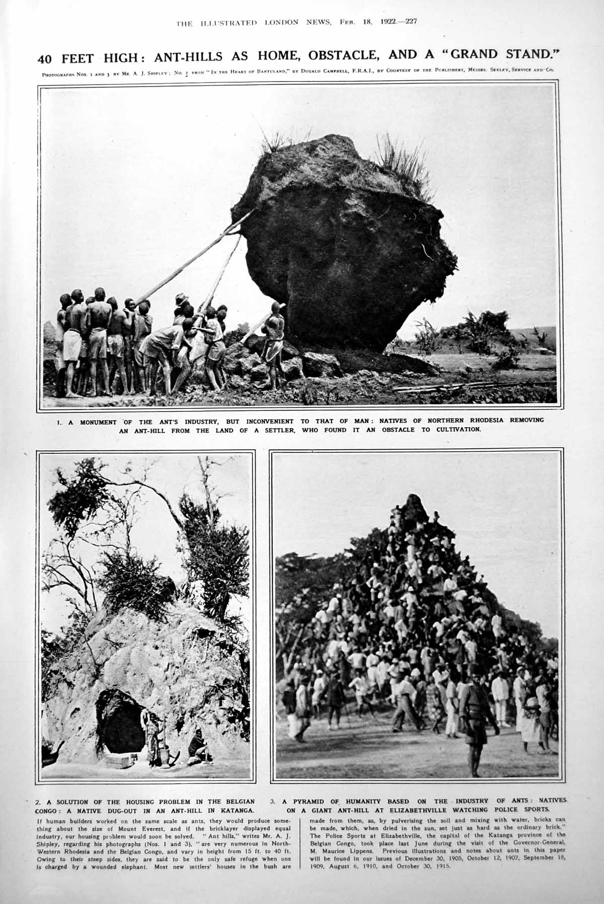 Old Print 40 Ft High Anthills As Obstacles Grandstand Opera Bradford 1922