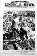 Antique Old Print Prime Minister Planting Potatoes Punch Ghandi Montagu 1922