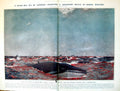 Antique Old Print Rorqual Whales Red Sea Copepods Scarlet Animalculae 1922 20th