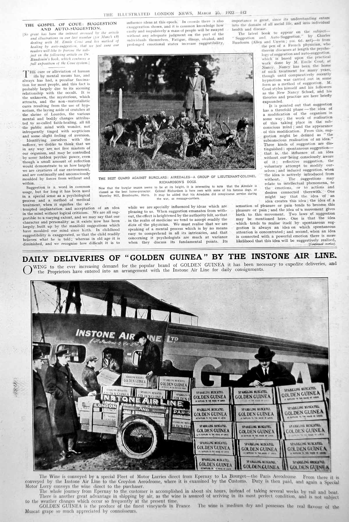 Antique Old Print Airedales Guard Against Burglars Lt Col Richardson'S 1922