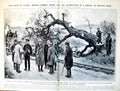 Antique Print Tree Over Road Border Farmers Asking Destruction Bridge 1922 20th