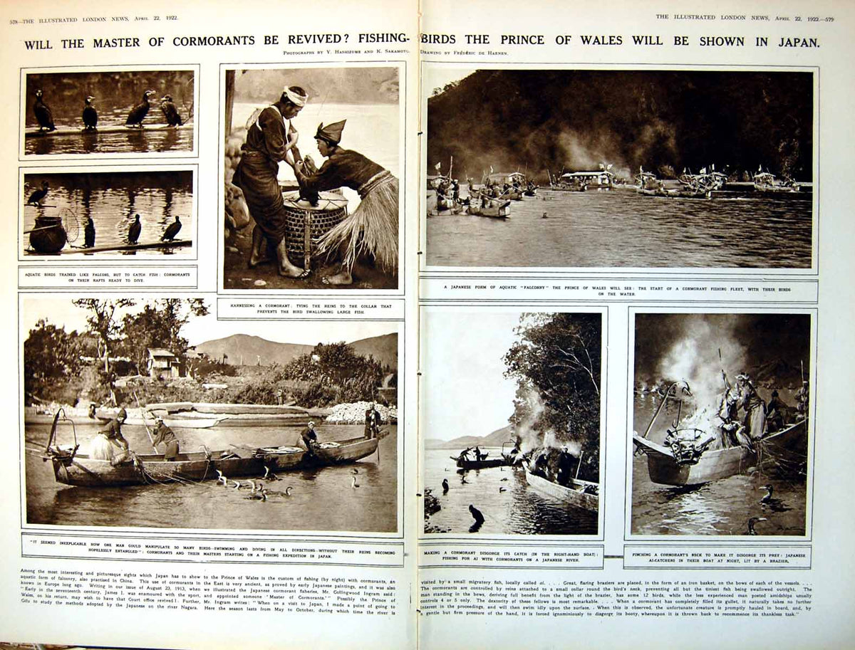 Antique Old Print Damaged Master Cormorants Fishing Japan Prince Wales 1922