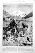 Antique Old Print Everest Wild Creatures Jan Mayen Arctic Circle Weather 1922