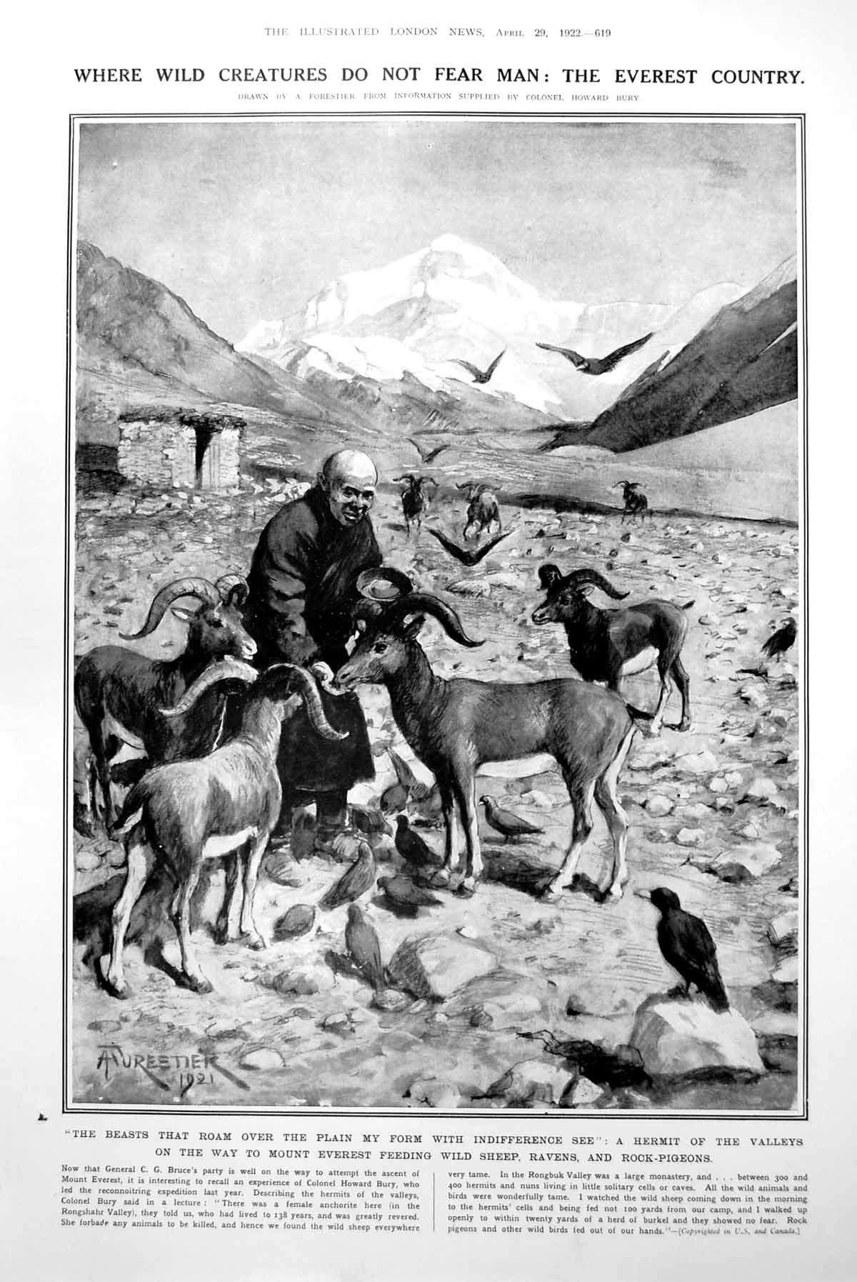 Antique Old Print Everest Wild Creatures Jan Mayen Arctic Circle Weather 1922
