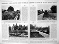 Original Old Vintage Print Damaged Shakespeares Knotted Garden Memorial 1922