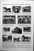 Old Print Agricultural Show Cambridge Horses Cathal Brughas Funeral 1922 20th