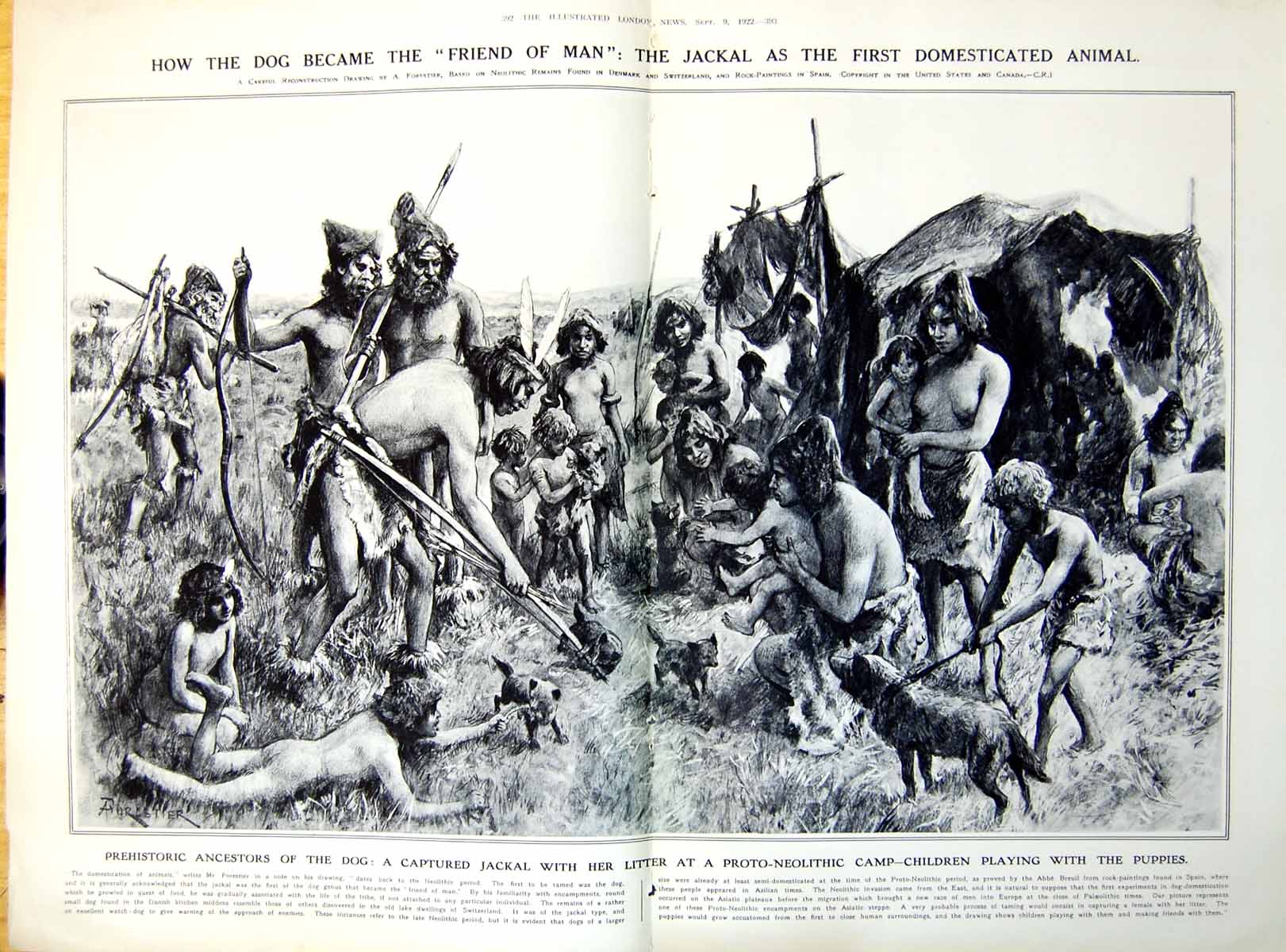 Old Christ Church Oxford Cathedral Jackal Puppies 1922 DamagedPages 20th