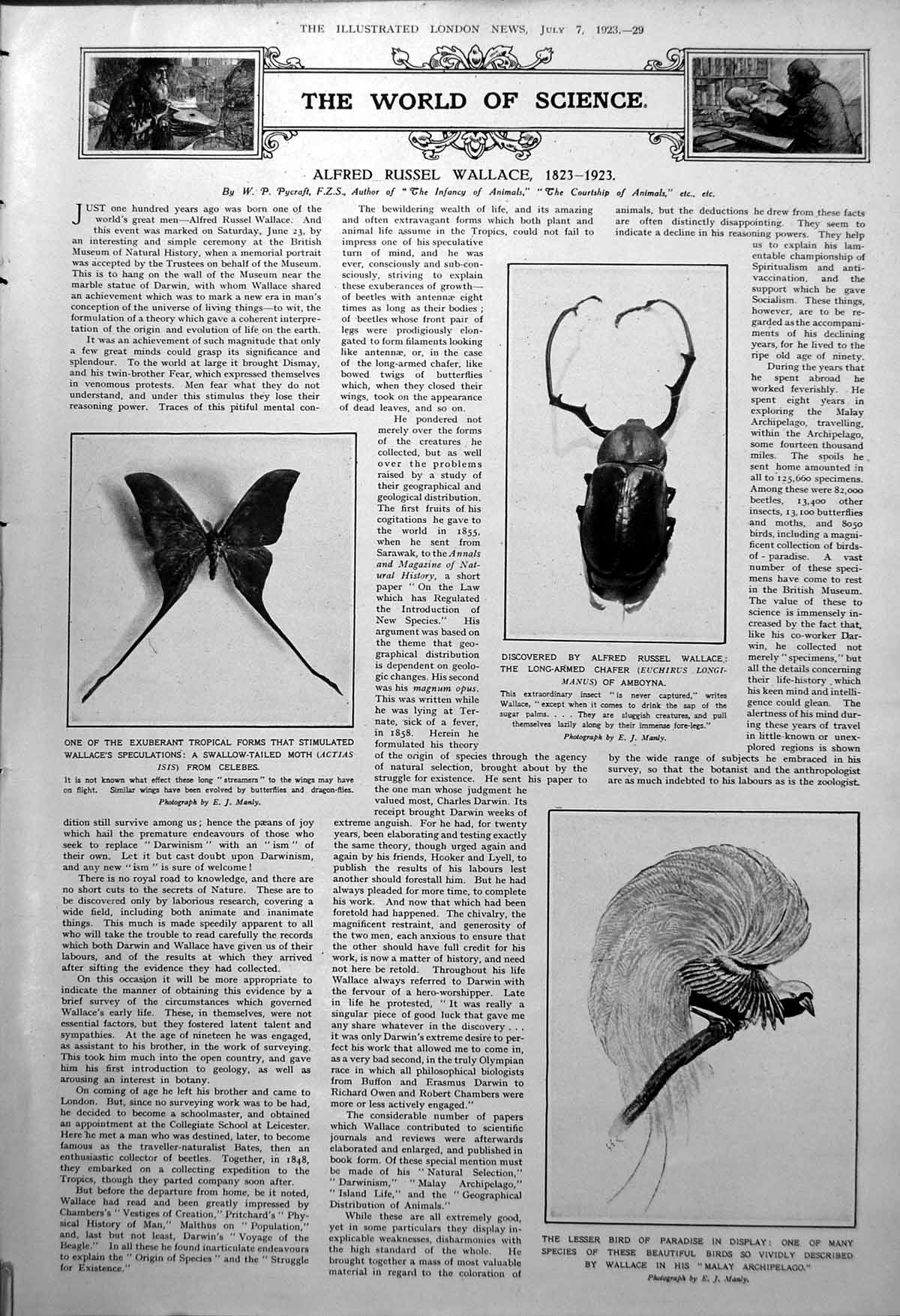 Old Ar Wallace Discoveries Beetle Butterfly Aldous Huxley Magpie 1923 0 20th