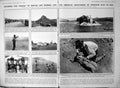 Old Print Damaged American Discoverers Dinosaur Eggs Asia Mongolia 1923 20th