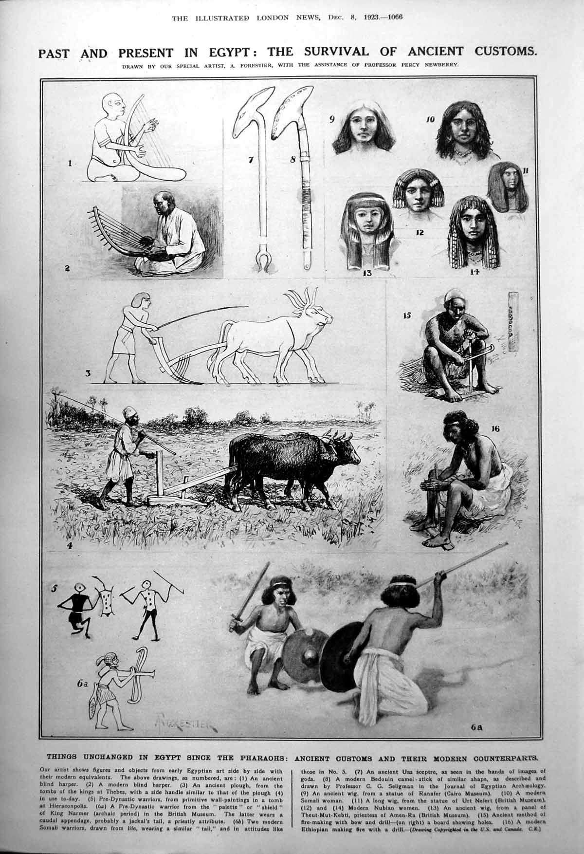 Antique Print Survival Ancient Customs Egypt Hair Styles Winter Moths 1923