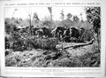 Old Print Wild Elephants Trapped India Stockaded Enclosure Kheddar 1923 20th