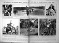 Antique Old Print Damaged Use Elephant Hunting Gond De Valera'S Arrest 1923
